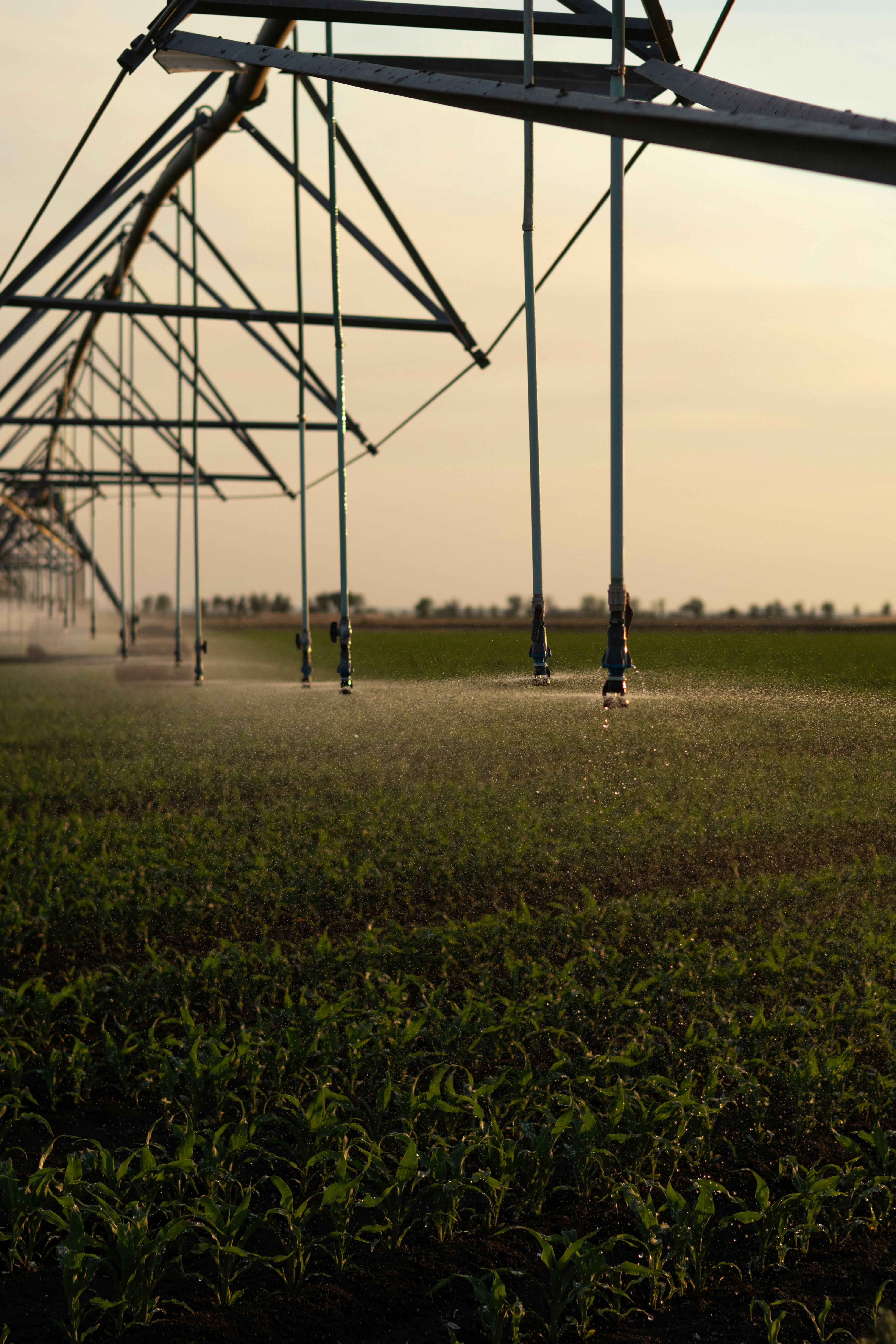 Agriculture